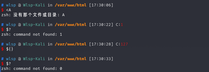 image-20210916173057227